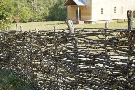 Stick Fences Diy Branches, Rustic Trellis Ideas Tree Branches, Fence From Branches, Woven Stick Fence, Fence Made Of Branches, Fence From Tree Branches, Twig Fence Diy, Branch Fence Diy, Twig Fences Tree Branches