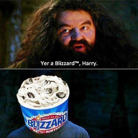 I will never look at another blizzard the same way again! Harry Potter Quiz, Yer A Wizard Harry, Harry Potter Puns, Potter Facts, Harry Potter Jokes, Harry Potter Love, Mischief Managed, Harry Potter Fantastic Beasts, Harry Potter Funny