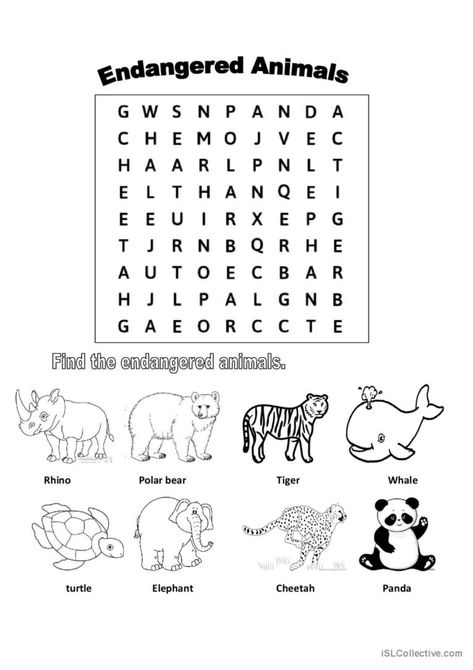 Endangered Species Activities, Endangered Animals Activities, Teaching Adjectives, Animal Worksheets, Africa Animals, Teacher Lessons, School Things, Fun Worksheets, Animal Activities