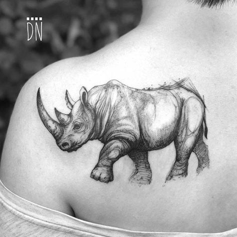 Rhino Tattoo Design, Rhino 3d Modeling, Rhino Skull, Rhino Iguana, Rhino Character, Rhino Drawing, Japanese Forearm Tattoo, Nature Sketching, Female Lion Tattoo