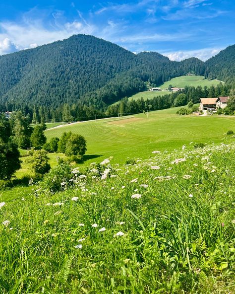 Beautiful Grass Field, Mountain Flower Field, Field Reference Photo, Flower Field Mountains, Big Field Aesthetic, Flower Feild Pics, Mountain And Flowers, Field Scenery, Meadow Mountain