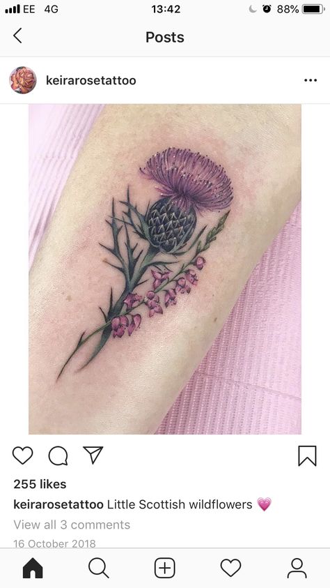 Scottish Thistle And Heather Tattoo, Scottish Gaelic Tattoo For Women, Thistle And Heather Tattoo, Scottish Heather Tattoo, Scottish Tattoos For Women, Scotland Tattoo Ideas, Thistle Tattoos, Heather Tattoo, Tattoo Irish