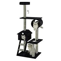 Black Cat Tree, Cat Cozy, Cat Tree Condo, Cat Activity, Cat Shelves, Sisal Rope, Black And White Tree, Cat Condo, Step Ladder