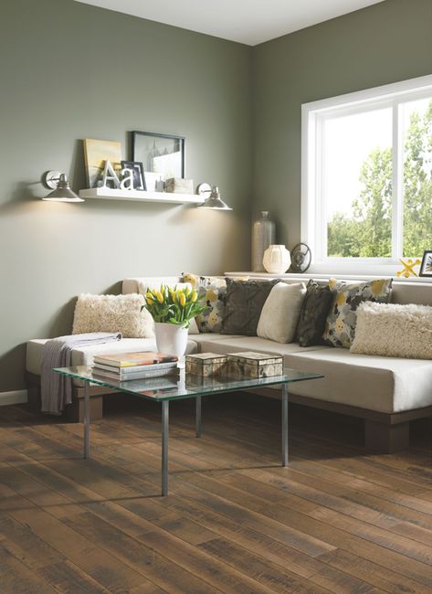 Brown Laminate Flooring, Brown Laminate, Best Laminate, Armstrong Flooring, Living Interior, Green Walls, Living Comedor, Radiant Orchid, Flooring Store