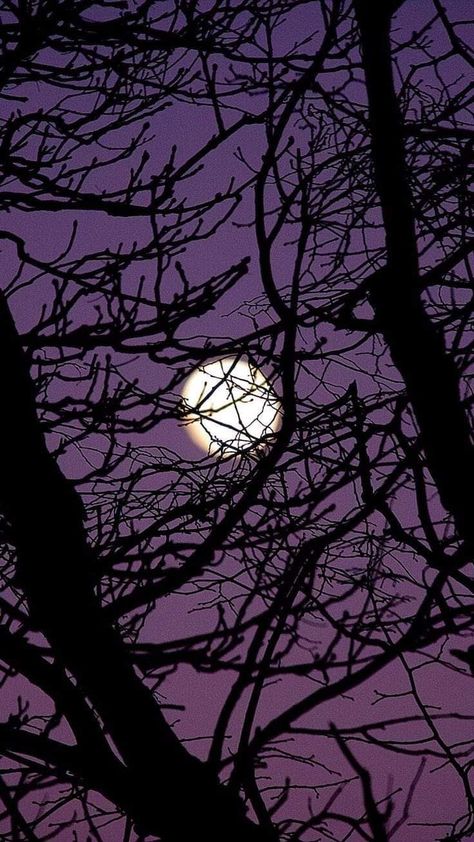 Gothic Moon Wallpaper, Purple Winter Wallpaper, Fall Purple, Purple Gothic, Whatsapp Wallpaper Cute, Gothic Wallpaper, Dark Purple Aesthetic, Witchy Wallpaper, Aesthetic Wallpaper Iphone