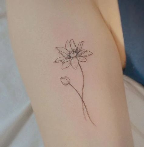 110 Water Lily Tattoo Designs That Will Bring You Peace Waterlily Minimalist Tattoo, Water Lily With Stem Tattoo, Fineline Water Lily Tattoo, Water Lilly Tattoos, Fine Line Water Lily Tattoo, Water Lilly Tattoo Stencils, Watering Tattoo, July Birth Flower Tattoo Water Lilies, Waterlily Tattoo Design