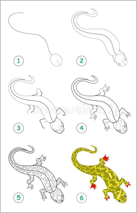 How to draw step by step cute little lizard. Educational page for kids. Back to school. Developing children skills for drawing and coloring. Printable vector illustration How To Draw Lizards Step By Step, How To Draw A Salamander, Lizards Cute, How To Draw A Lizard Step By Step, How To Draw Lizard, How To Draw A Lizard, Cartoon Lizard Drawing, Lizards Drawing, Lizard Doodle