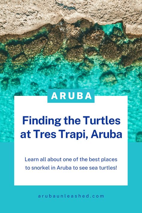 Learn all about one of the best places to snorkel in Aruba to see sea turtles! Aruba Snorkeling, Aruba Activities, How To Snorkel, Best Places To Snorkel, Aruba Beach, Best Snorkeling, Bahamas Cruise, The Turtles, Snorkeling Gear