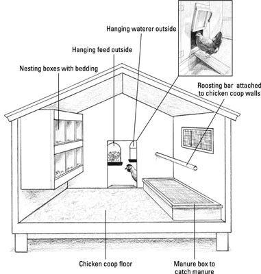 Chicken Flock, Cute Chicken Coops, Chicken Coop Garden, Easy Chicken Coop, Chicken Shed, Duck Coop, Backyard Chicken Coop Plans, Chicken Pen, Diy Chicken Coop Plans