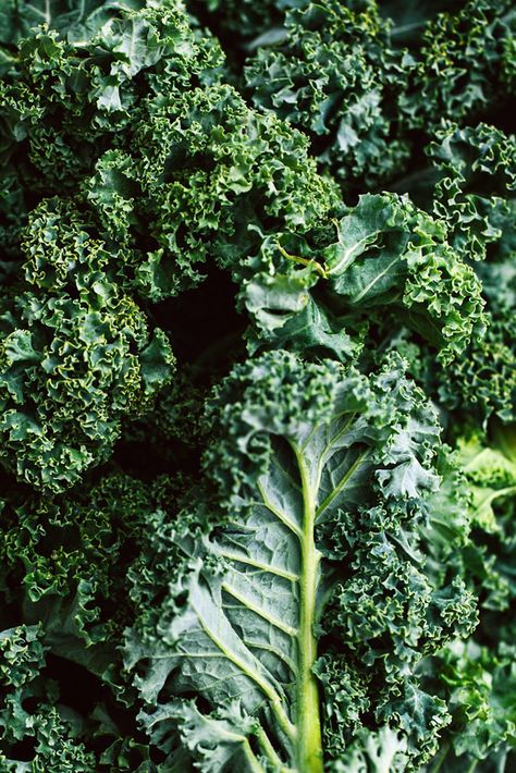 Vegetables Photography Aesthetic, Kale Aesthetic, January Produce, Veggie Photography, Christmas Dinner With Friends, Cozy Christmas Dinner, Salad Photography, Winter Veggies, Farm Photography