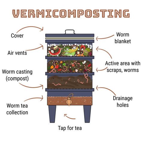 Want to start a worm farm but on a tight budget? Save some money and make your own worm bin! Read on and let us help you start your worm bin DIY project. Vermiculture Worm Farm, Earthworm Farm, Vermicomposting Worm Farm, Worm Farm Diy, Cacing Tanah, Worm Beds, Worm Composting Bin, Compost Bin Diy, Worm Bin