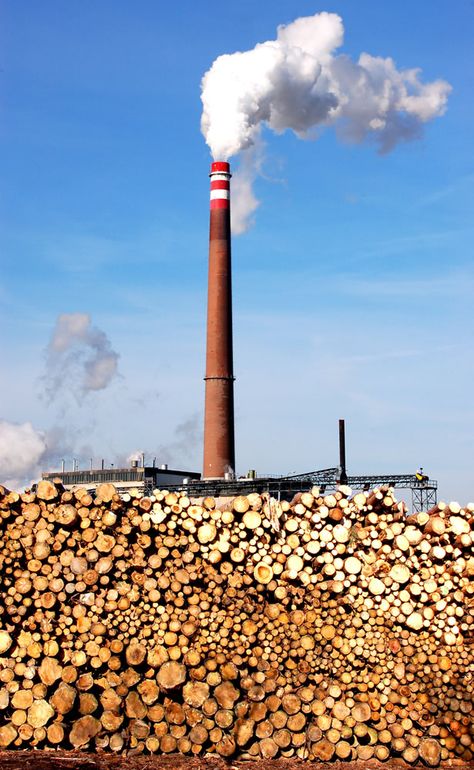 What is 'wood-energy'? Biomass Power Plant, Physics Projects, Biomass Energy, School Related, Simple Graphic, Green Energy, Power Plant, Save The Planet, Organic Beauty