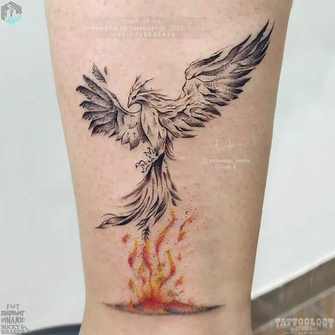 Phoenix From Ashes Tattoo Feminine, Phoenix Tattoo From Ashes, Pheonix Tattoo Chest Men, Tattoo Designs Phoenix Beautiful, Fierce Phoenix Tattoo, Phoenix With Fire Tattoo, Pheonix Tattoo Ideas For Men, Phoniex Tattoos For Men, Phoenix Tattoo Bicep