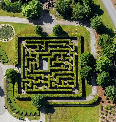 Maze Garden Design, Maze Design Ideas, Maze Landscape, Maze Garden, Hedge Maze, Labyrinth Garden, Garden Maze, Labyrinth Maze, Blue Bedroom Design