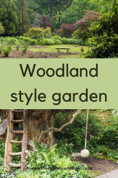 Woodland Garden Paths And Walkways, Cottage Garden Native Plants, Secret Woodland Garden, Cabin Landscape Ideas Woods, Forest Food Garden, Enchanted Forest Yard Ideas, Gardens In The Woods, Woodland Garden Path Ideas, Backyard Woodland Garden