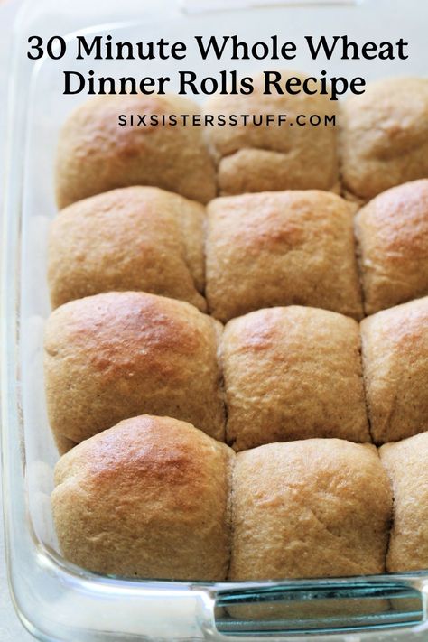 Dinner Rolls Whole Wheat, Easy Wheat Rolls, Whole Wheat Dinner Rolls Recipe Homemade, Whole Grain Rolls Recipe, Whole Wheat Yeast Rolls, Whole Wheat Bread Rolls Recipe, Whole Grain Dinner Rolls, Quick Whole Wheat Rolls, Whole Wheat Biscuit Recipe