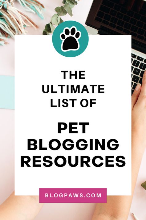 person typing on a laptop | the ultimate list of pet blogging resources Dog Blog Post Ideas, Pet Influencer, Blog Business Plan, Find Your Niche, Writing A Blog, Pet Projects, Business Setup, Dog Business, Blog Business