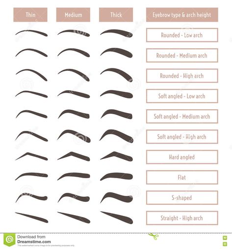 Brow Types, Types Of Eyebrows, Alis Mata, Amazing Wedding Makeup, Permanente Make-up, Makeup Cantik, Membentuk Alis, Eyebrow Shapes, Bentuk Alis