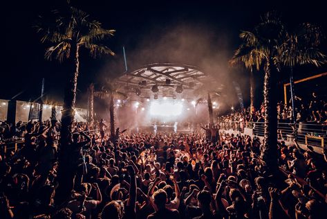 Sonus Festival, Festival 2022, Sun Shining, Under The Stars, The Energy, What You See, Our Love, Vision Board, The Sun