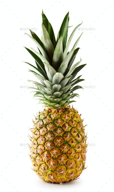 Picture Of Pineapple, Pineapple Photography, Fruits Photos, Funny Fruit, Fake Fruit, Brown Spots Removal, Pineapple Fruit, Fruit Photography, Nutrition Guide