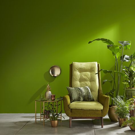 When it comes to #designing your #home, the #paint #colour you pick for your #walls has more power than you might think. It can make a #small #room feel #bigger and a #large #room feel more #intimate. For tips on choosing the right #paint #colour for the right #room, take a look at our feature. Valspar Colors, Green Wall Color, Wall Color Combination, Valspar Paint, Choosing Paint Colours, Perfect Paint Color, Lounge Ideas, Green Walls, Paint Colour