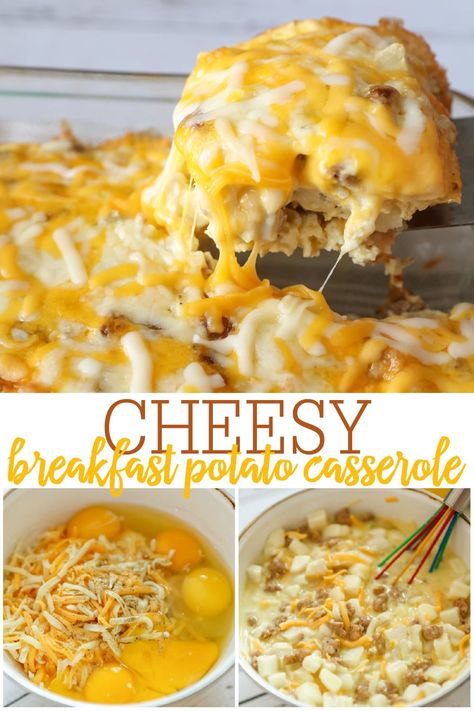 Easy Cheesy Egg Casserole, Hashbrowns Eggs Sausage Cheese, Frozen Potato Casserole Breakfast, Hashbrown Breakfast Casserole Cozy Cook, Cheesy Potato Egg Casserole, Egg Sausage Potato Breakfast Casserole, Easy Breakfast Casserole With Potatoes, Hashbrown Egg And Cheese Casserole, Cheesy Eggs Casserole