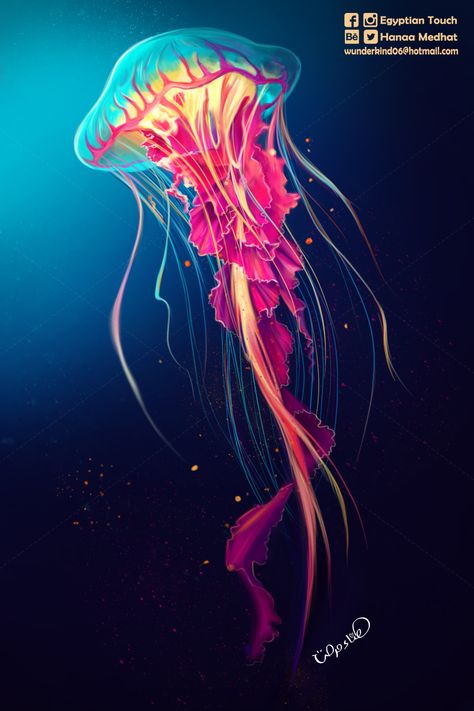 the jellyfish on Behance Medusa Animal, Jellyfish Jewelry, Jellyfish Illustration, Jellyfish Photography, Jellyfish Tank, Jellyfish Decorations, Jellyfish Painting, Colorful Jellyfish, Jellyfish Drawing