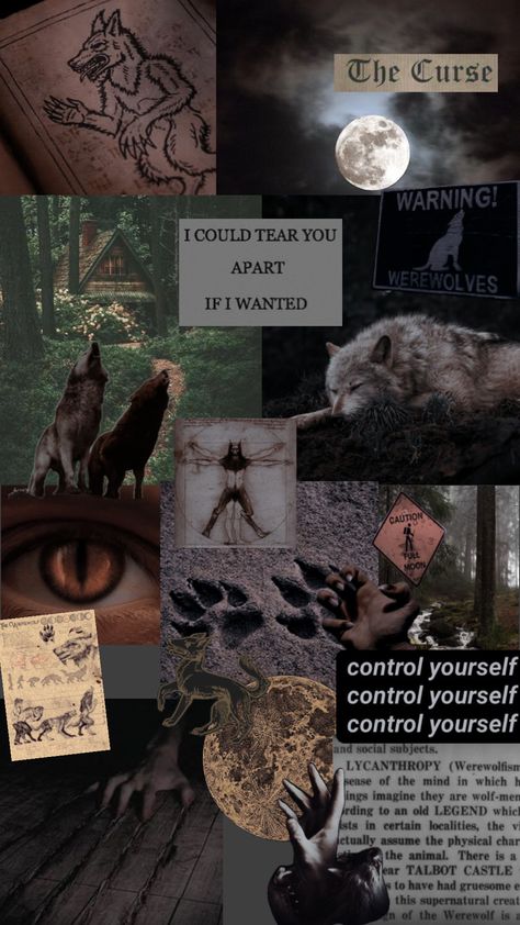 werewolf aesthetic #wolves #werewolf #earthy Paranormal Aesthetic, Teen Wolf Fan Art, Werewolf Stories, Wolf Decor, Werewolf Aesthetic, Magic Aesthetic, Season Of The Witch, A Level Art, Fantasy Aesthetic