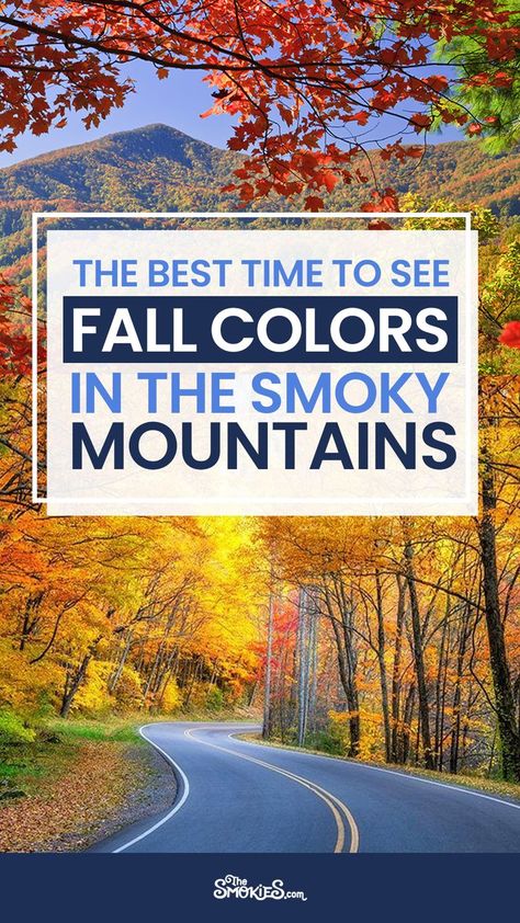 Smoky Mountains In November, Great Smoky Mountains Fall, Smokie Mountains Tennessee, Fall In Tennessee, Fall Tennessee, Tennessee Fall, Fall Foliage Map, Fall Mountains, Tennessee Waterfalls