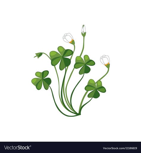 Shamrock Plant Tattoo, Clovers Drawing, Shamrock Illustration, Draw A Shamrock, Shamrock Drawing, Four Leaf Clover Drawing, Clover Drawing, Irish Flowers, Sant Patrick