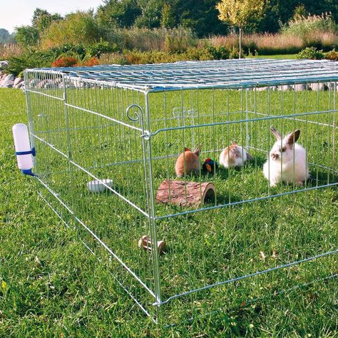 Trixie Pet Products Natura Grey Galvanized Metal Outdoor Rabbit Covered Run Outdoor Rabbit, Outdoor Rabbit Hutch, Rabbit Enclosure, Best Egg Laying Chickens, Rabbit House, Rabbit Cages, Bunny Cages, Rabbit Hutch, Rabbit Cage