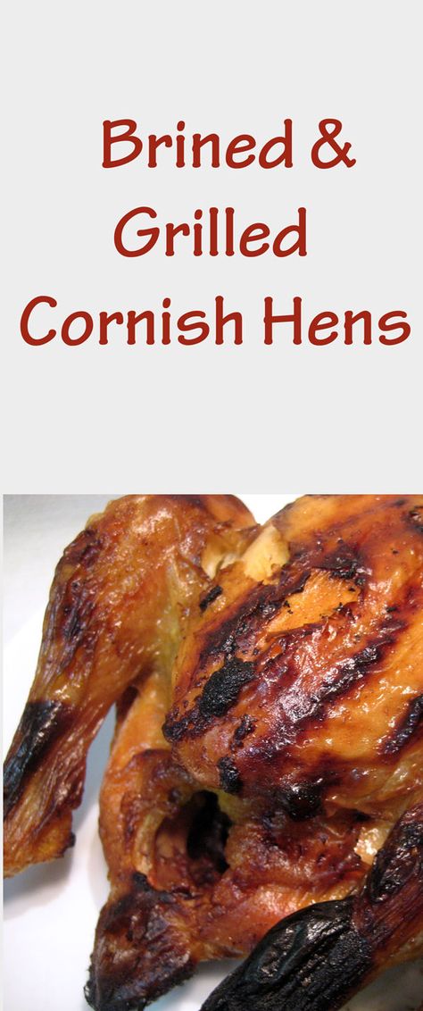 Brined Cornish Hens, Bbq Cornish Game Hen Recipes, Cornish Hen Grill Recipe, Brine For Cornish Game Hens, Bbq Cornish Hens, Brining Cornish Hens, Brine Cornish Hens, Grilled Cornish Hen Recipe, Grilled Cornish Game Hen Recipes