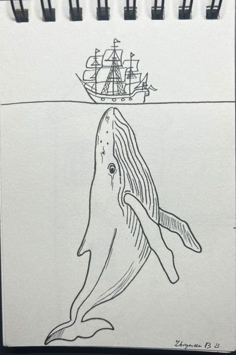 Underwater Animals Drawing, Big Drawings, Pirate Ship Drawing, Whale Sketch, Underwater Drawing, Shrunken Heads, Whale Drawing, Big Whale, Maori People