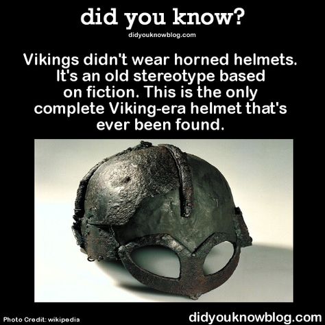 Viking Facts, Danish Vikings, Horned Helmet, Viking Quotes, Viking Helmet, Trivia Facts, History Facts Interesting, Did You Know Facts, Viking History