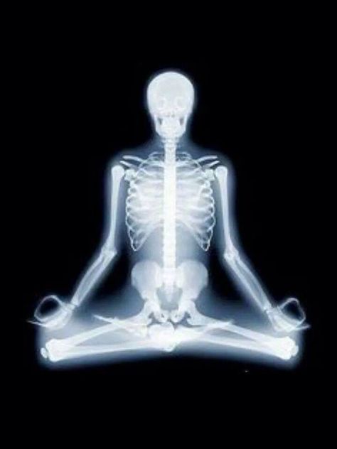 Skeleton Radiology Humor, Xray Art, Dental Jokes, Health Goth, Funny Nurse Quotes, Power Of Meditation, Yoga Positions, Retro Humor, Yoga Postures