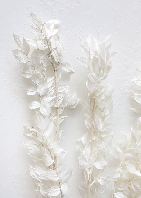 Dried White Ruscus Leaves Bleached Ruscus, Dry Floral Foam, Flat Inspiration, Hanging Wall Planters, Fake Hydrangeas, Artificial Wedding Bouquets, Pink Sunflowers, Silk Wedding Bouquets, Artificial Bouquet