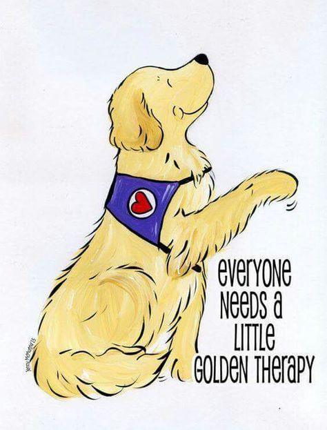 Golden therapy Golden Retriever Quotes, Australian Labradoodles, Perros Golden Retriever, Therapy Design, Life Is Golden, Golden Retriever Mix, A Golden Retriever, Therapy Dogs, Golden Retriever Puppy