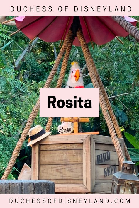 Rosita, Tropical Hideaway, Adventureland, Disneyland Adventureland Disneyland, Tropical Hideaway, Tiki Tiki, Enchanted Tiki Room, Tiki Room, All Birds, Disneyland Resort, The Birds, Hidden Gems