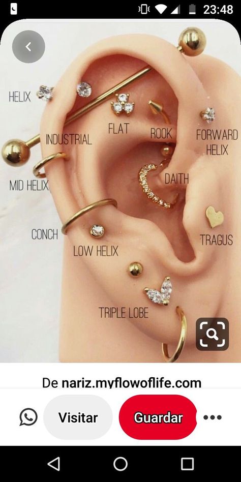 Pin by Alyssa Neville on Piercings in 2021 | Pretty ear piercings, Ear piercings chart, Types of ear piercings Peicing Ideas Ear Names, Labeled Ear Piercings, Eat Piercings Chart Names, Piercings Chart, Ear Piercings Industrial, Different Ear Piercings, Ear Peircings, Piercings Ear, Ear Piercings Chart