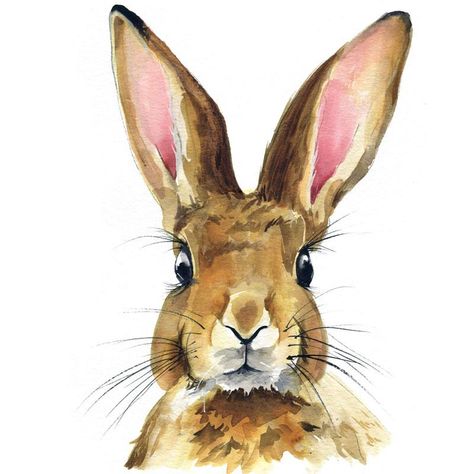 Watercolor Rabbit Paint Kit Watercolor Rabbit, Hare Painting, Lapin Art, Animals Tattoo, Bunny Watercolor, Let's Make Art, Bunny Painting, Rabbit Painting, Watercolor Kit