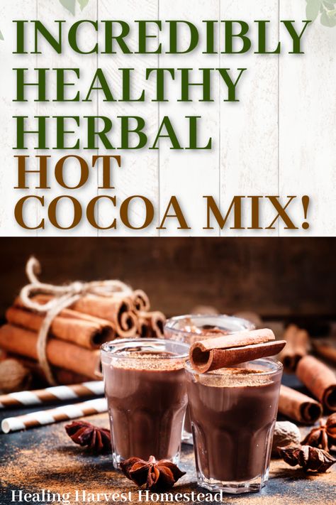 Mmmm. Spiced hot cocoa mix: That's what you need to warm you up on a chilly day! And if it's still warm out? Well, then you can ice it, too. Find out how to make this healthy and easy hot chocolate blend mix with my recipe using herbs and spices. You'll make this over and over! #hotchocolate #chocolate #chocolatedrink #healthydrink #healthy #spicy #cocoa #drink #mix #blend #chocolaterecipe #recipe #fall #falldrink #hotdrink Healthy Hot Chocolate Mix Recipe Dry, Diy Hot Cocoa Mix Recipes No Dry Milk, Mexican Hot Cocoa Mix Recipe, Healthy Hot Cocoa Mix Recipe, Dry Hot Cocoa Mix Recipe, Dark Hot Chocolate Mix Recipe, Dark Chocolate Hot Cocoa Mix Recipe, Diy Hot Cocoa Mix Recipes, Hot Chocolate Mix Recipes Dry