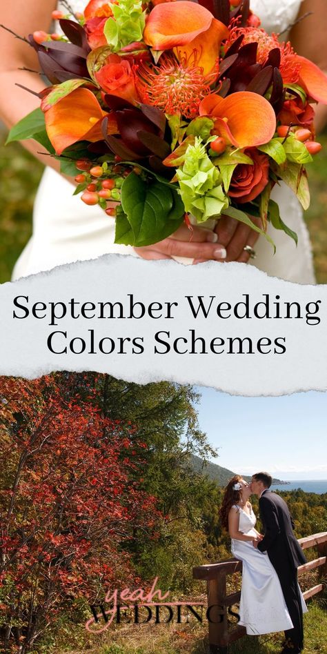 September Wedding Colors Schemes Wedding Flowers Fall Bouquet, September Wedding Ideas Color Palettes, Colors For September Wedding, Fall Wedding Ideas Colors September, Wedding Table Linen Ideas Color Palettes, September Wedding Colors Elegant, September Wedding Colours, Fall Wedding Color Palette September, Wild Flower Wedding Theme Color Schemes Bridesmaid Dresses