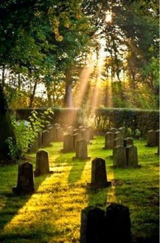 Old Cemetery, Grave Yard, Cemetery, The Sun, Trees, Yard, Sun