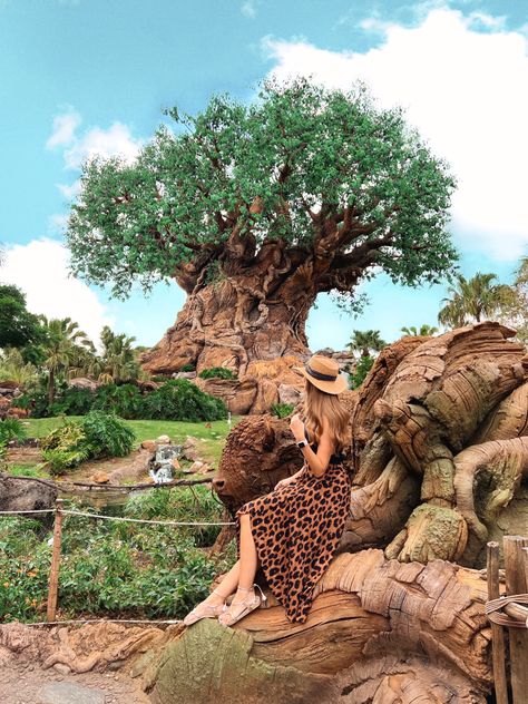 Photo ideas for disney world - Animal kingdom spots. Walt Disney world, disney's animal kingdom, animal kingdom tips, disney world tips,disney moments, disney's tree of life, tree of life animal kingdom, ideas foto animal kigdom, foto árvore da vida, look animal kingdom, outfit animal kingdom. Disney Animal Kingdom Picture Ideas, Disney Animal Kingdom Photo Ideas, Animal Kingdom Photo Spots, Magic Kingdom Picture Ideas, Walt Disney World Photo Ideas, Animal Kingdom Photo Ideas, Animal Kingdom Aesthetic, Animal Kingdom Picture Ideas, Disney Animal Kingdom Outfit