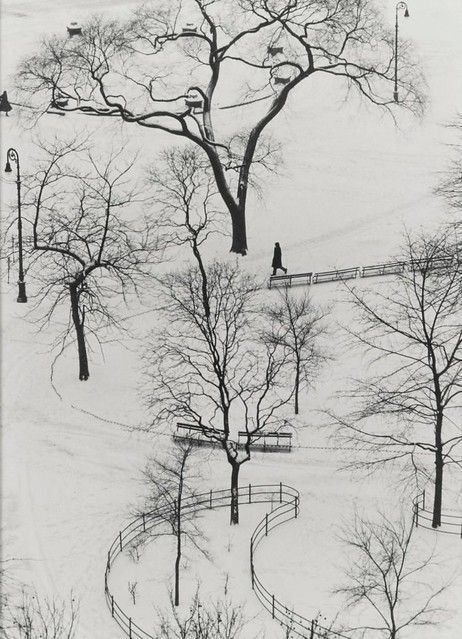 Andre Kertesz Central Park | Elena Arena | Flickr Jean Arp, Andre Kertesz, Robert Doisneau, Henri Cartier Bresson, Washington Square Park, Alexander Calder, Getty Museum, Washington Square, Greenwich Village