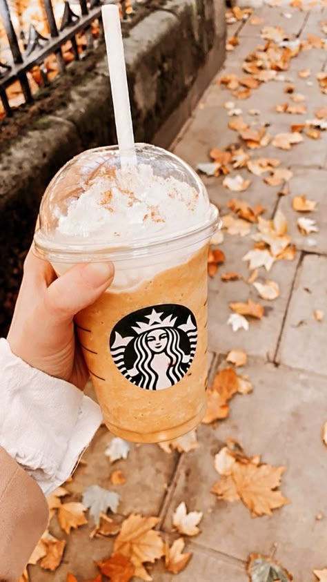 Starbucks Fall Drinks, Starbucks Pumpkin Spice Latte, Tapeta Z Hello Kitty, Vegan Pumpkin Spice, Herbst Bucket List, Starbucks Pumpkin Spice, Pumpkin Spice Lattes, Starbucks Pumpkin, Starbucks Drink