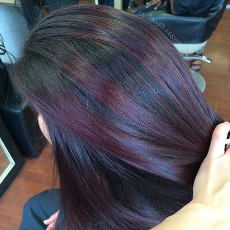 Purple and red plum highlights Plum Highlights On Dark Hair, Plum Balayage Hair, Hair Color On Black Hair, Plum Balayage, Color On Black Hair, Plum Highlights, Plum Hair Color, Purple Balayage, Hair Color Plum