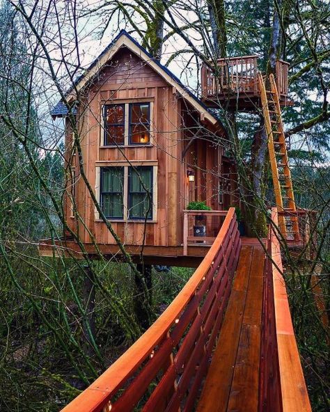 Good Tree House Ideas Adult Tree House, Beautiful Tree Houses, Treehouse Masters, Treehouse Cabins, Tree House Plans, Tree House Diy, Cool Tree Houses, Tree House Designs, Diy Tree