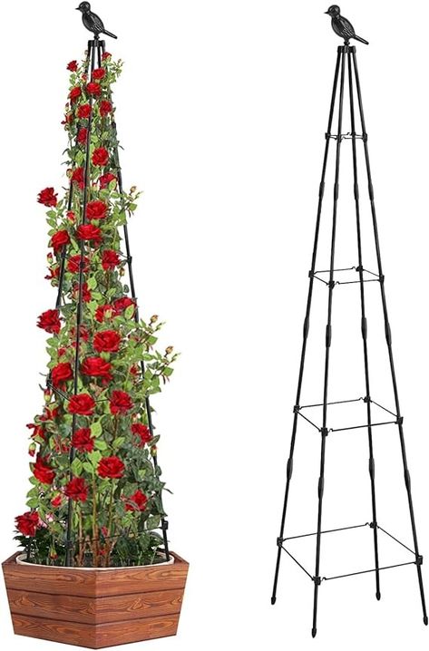 Amazon.com : MQHUAYU Garden Trellis for Climbing Plants Outdoor, 65 inch Tall Plants Obelisk Trellis with Adjustable Heights for Indoor Potted Plants, Vines, Flowers Stands, Cucumber, Tomato, Pea, 1 Pack : Patio, Lawn & Garden Climbing Plants Outdoor, Indoor Potted Plants, Plants Vines, Vines Flowers, Obelisk Trellis, Outdoor Trellis, Plants Ideas, Plants Outdoor, Garden Decor Ideas