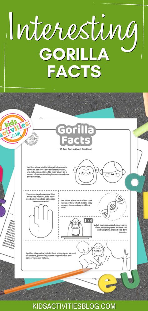 Interesting Gorilla Facts that are so much fun for kids of all ages. Here at Kids Activities Blog, we love big and small animals alike. Today, it’s time to learn about one of the great apes, gorillas! These coloring sheets with gorilla facts are a fun activity for kids from all ages that love these friendly animals. Younger kids will enjoy coloring different gorilla species, while older kids will love learning about them. Gorilla Craft, Kids Church Activities, Friendly Animals, Fun Activity For Kids, Gorillas Art, Great Ape, Love Learning, Church Activities, Facts For Kids